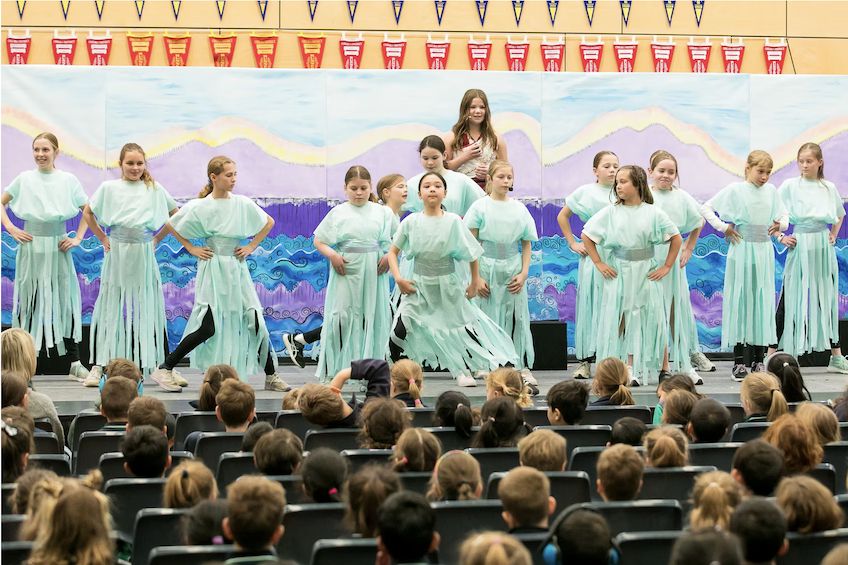 /uploaded_files/media/gallery/1774240301Moana 10.png